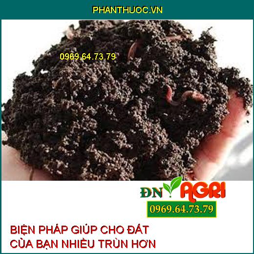 BIỆN PHÁP GIÚP CHO ĐẤT CỦA BẠN NHIỀU TRÙN HƠN