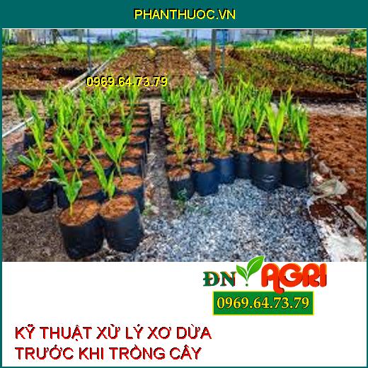 KỸ THUẬT XỬ LÝ XƠ DỪA TRƯỚC KHI TRỒNG CÂY