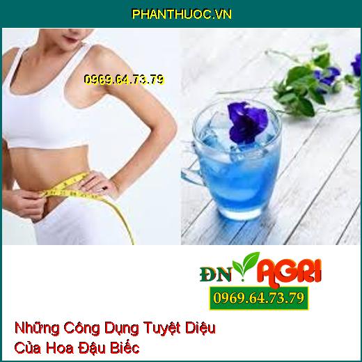 Những Công Dụng Tuyệt Diệu Của Hoa Đậu Biếc 