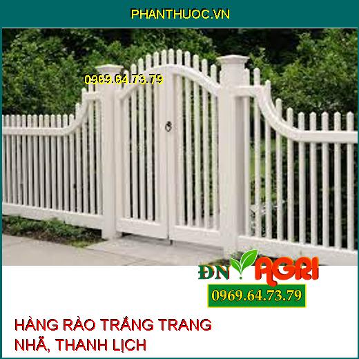 5 Kiểu Hàng Rào Màu Trắng Trang Nhã, Thanh Lịch Bài Trí Cho Khu Vườn