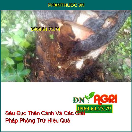 Sâu Đục Thân Cành Và Các Giải Pháp Phòng Trừ Hiệu Quả