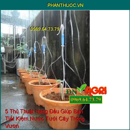 5 Thủ Thuật Hàng Đầu Giúp Bạn Tiết Kiệm Nước Tưới Cây Trong Vườn 