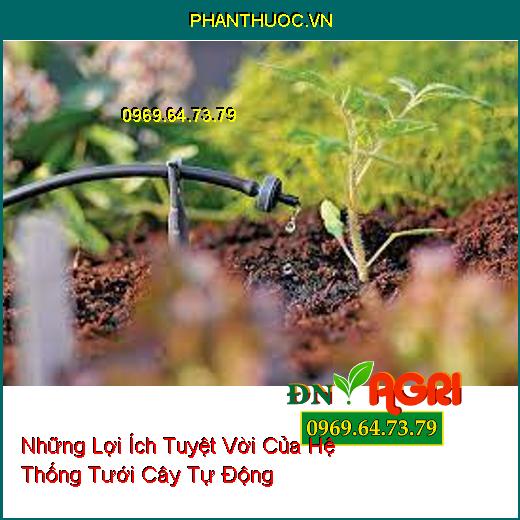 Những Lợi Ích Tuyệt Vời Của Hệ Thống Tưới Cây Tự Động