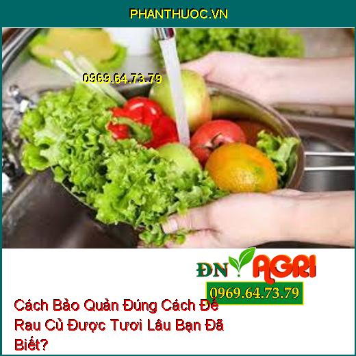 Cách Bảo Quản Đúng Cách Để Rau Củ Được Tươi Lâu Bạn Đã Biết?