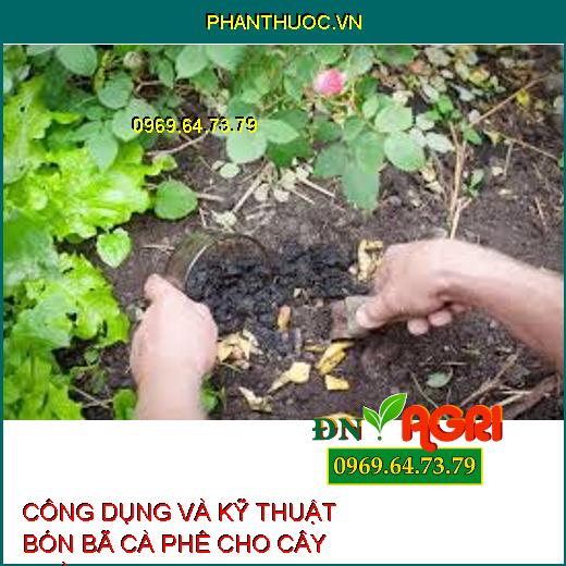 CÔNG DỤNG VÀ KỸ THUẬT BÓN BÃ CÀ PHÊ CHO CÂY TRỒNG 