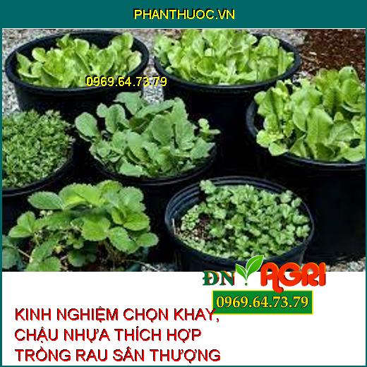 KINH NGHIỆM CHỌN KHAY, CHẬU NHỰA THÍCH HỢP TRỒNG RAU SÂN THƯỢNG