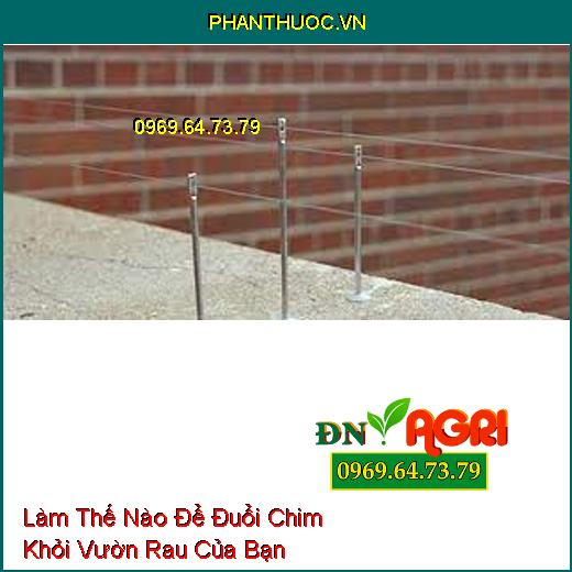 Làm Thế Nào Để Đuổi Chim Khỏi Vườn Rau Của Bạn