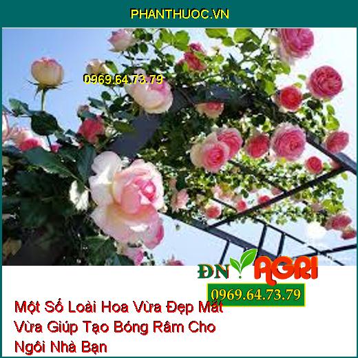 Một Số Loài Hoa Vừa Đẹp Mắt Vừa Giúp Tạo Bóng Râm Cho Ngôi Nhà Bạn