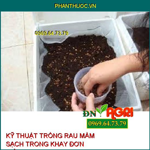 KỸ THUẬT TRỒNG RAU MẦM SẠCH TRONG KHAY ĐƠN GIẢN