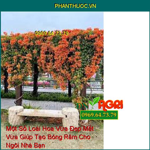 Một Số Loài Hoa Vừa Đẹp Mắt Vừa Giúp Tạo Bóng Râm Cho Ngôi Nhà Bạn