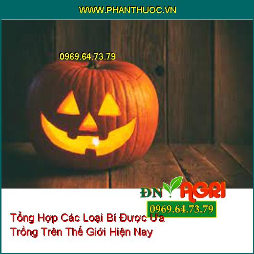 Tổng Hợp Các Loại Bí Được Ưa Trồng Trên Thế Giới Hiện Nay