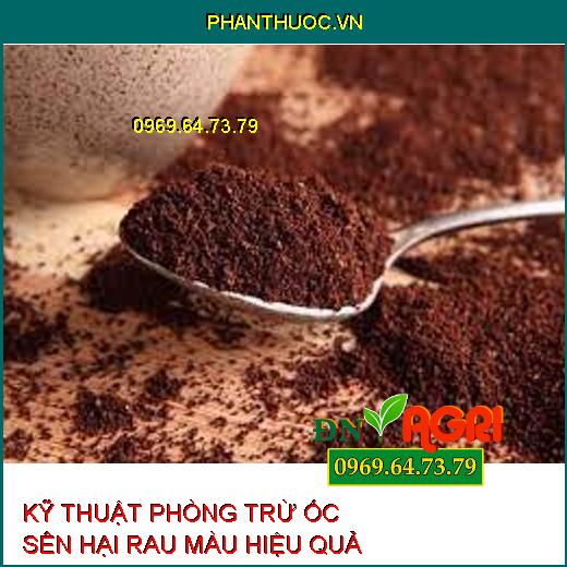 KỸ THUẬT PHÒNG TRỪ ỐC SÊN HẠI RAU MÀU HIỆU QUẢ