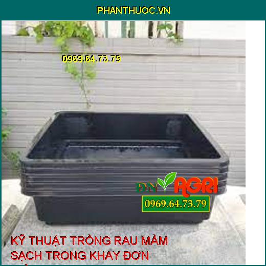 KỸ THUẬT TRỒNG RAU MẦM SẠCH TRONG KHAY ĐƠN GIẢN