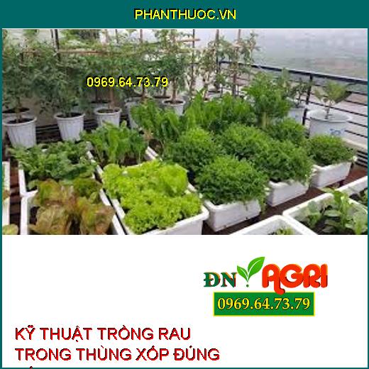 KỸ THUẬT TRỒNG RAU TRONG THÙNG XỐP ĐÚNG CÁCH ĐỂ RAU XANH, SẠCH