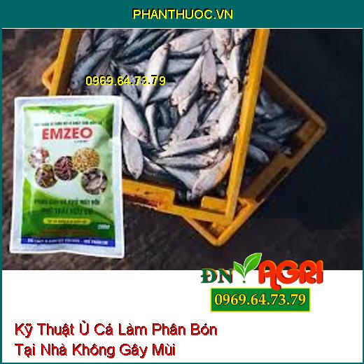 Kỹ Thuật Ủ Cá Làm Phân Bón Tại Nhà Không Gây Mùi