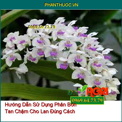 Hướng Dẫn Sử Dụng Phân Bón Tan Chậm Cho Lan Đúng Cách