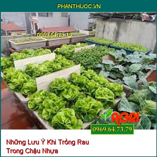 Những Lưu Ý Khi Trồng Rau Trong Chậu Nhựa Bạn Đã Biết?