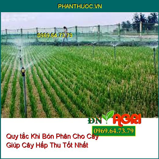 5 Quy tắc Khi Bón Phân Cho Cây Giúp Cây Hấp Thu Tốt Nhất