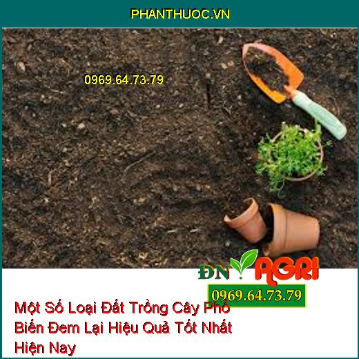 Một Số Loại Đất Trồng Cây Phổ Biến Đem Lại Hiệu Quả Tốt Nhất Hiện Nay