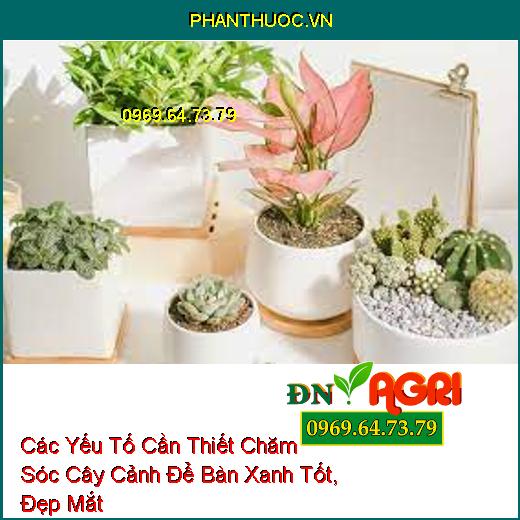 Các Yếu Tố Cần Thiết Chăm Sóc Cây Cảnh Để Bàn Xanh Tốt, Đẹp Mắt