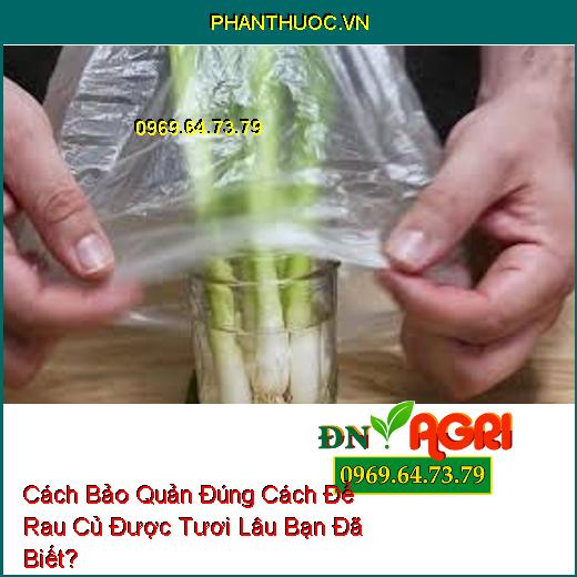 Cách Bảo Quản Đúng Cách Để Rau Củ Được Tươi Lâu Bạn Đã Biết?