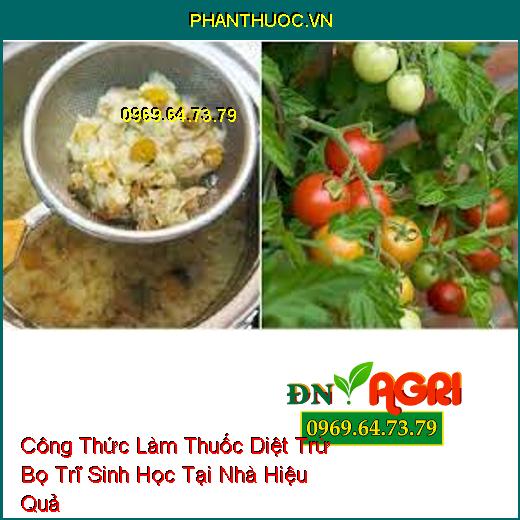 7 Công Thức Làm Thuốc Diệt Trừ Bọ Trĩ Sinh Học Tại Nhà Hiệu Quả