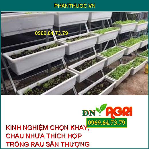 KINH NGHIỆM CHỌN KHAY, CHẬU NHỰA THÍCH HỢP TRỒNG RAU SÂN THƯỢNG