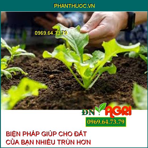 BIỆN PHÁP GIÚP CHO ĐẤT CỦA BẠN NHIỀU TRÙN HƠN