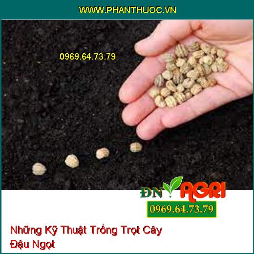 Những Kỹ Thuật Trồng Trọt Cây Đậu Ngọt