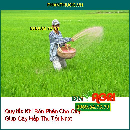 5 Quy tắc Khi Bón Phân Cho Cây Giúp Cây Hấp Thu Tốt Nhất