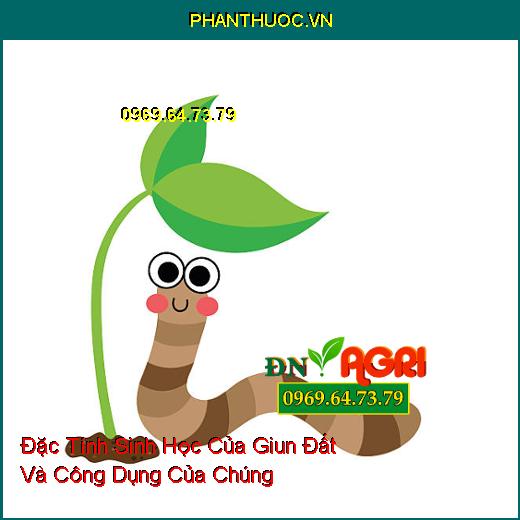 Đặc Tính Sinh Học Của Giun Đất Và Công Dụng Của Chúng