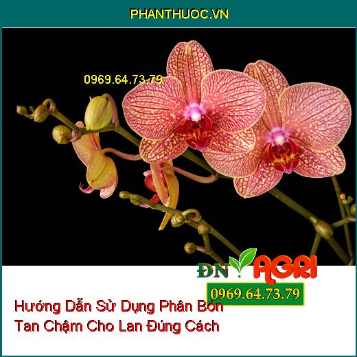 Hướng Dẫn Sử Dụng Phân Bón Tan Chậm Cho Lan Đúng Cách