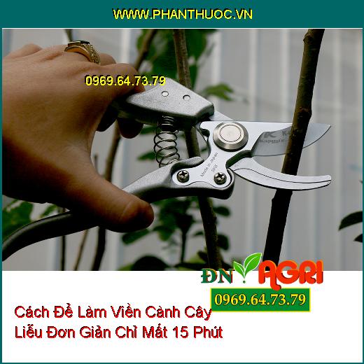 Cách Để Làm Viền Cành Cây Liễu Đơn Giản Chỉ Mất 15 Phút