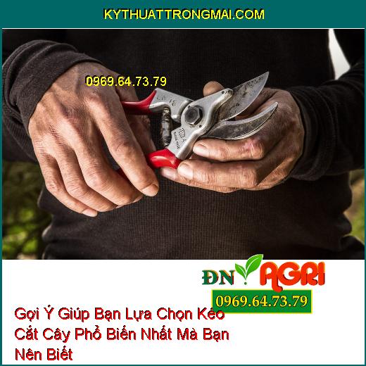 Gợi Ý Giúp Bạn Lựa Chọn Kéo Cắt Cây Phổ Biến Nhất Mà Bạn Nên Biết