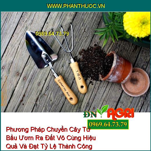 Phương Pháp Chuyển Cây Từ Bầu Ươm Ra Đất Vô Cùng Hiệu Quả Và Đạt Tỷ Lệ Thành Công 100%