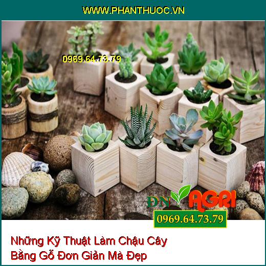 Những Kỹ Thuật Làm Chậu Cây Bằng Gỗ Đơn Giản Mà Đẹp