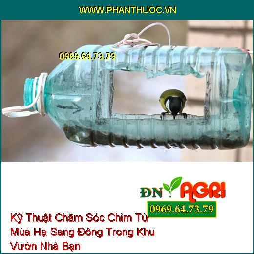 Kỹ Thuật Chăm Sóc Chim Từ Mùa Hạ Sang Đông Trong Khu Vườn Nhà Bạn 