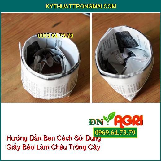 Hướng Dẫn Bạn Cách Sử Dụng Giấy Báo Làm Chậu Trồng Cây