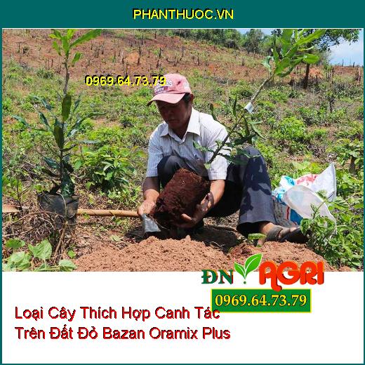 10 Loại Cây Thích Hợp Canh Tác Trên Đất Đỏ Bazan Oramix Plus