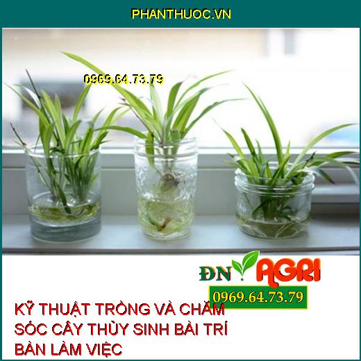 KỸ THUẬT TRỒNG VÀ CHĂM SÓC CÂY THỦY SINH BÀI TRÍ BÀN LÀM VIỆC