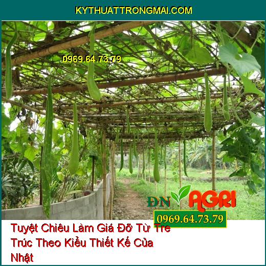 Tuyệt Chiêu Làm Giá Đỡ Từ Tre Trúc Theo Kiểu Thiết Kế Của Nhật