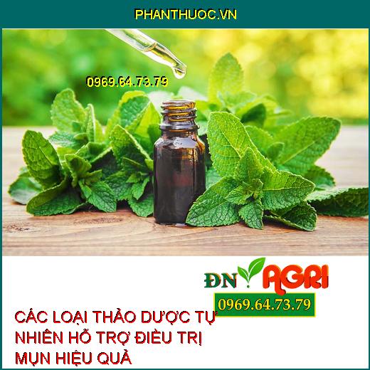 các loại thảo dược tự nhiên là một giải pháp an toàn và hiệu quả hơn. Để giúp bạn có được thông tin chi tiết hơn về các loại lá hỗ trợ trị mụn và làm đẹp da