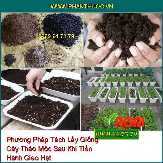 Phương Pháp Tách Lấy Giống Cây Thảo Mộc Sau Khi Tiến Hành Gieo Hạt