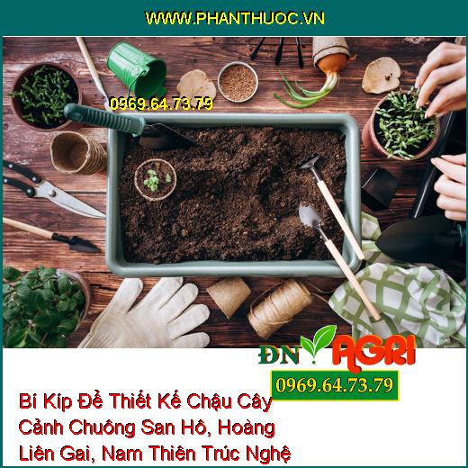 Bí Kíp Để Thiết Kế Chậu Cây Cảnh Chuông San Hô, Hoàng Liên Gai, Nam Thiên Trúc Nghệ Thuật