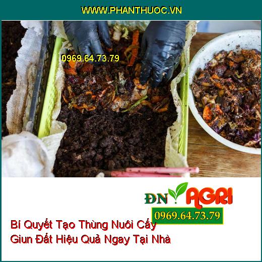 Bí Quyết Tạo Thùng Nuôi Cấy Giun Đất Hiệu Quả Ngay Tại Nhà