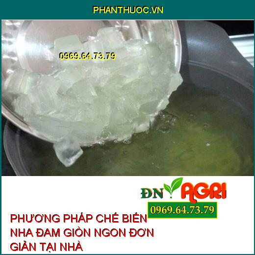 PHƯƠNG PHÁP CHẾ BIẾN NHA ĐAM GIÒN NGON ĐƠN GIẢN TẠI NHÀ