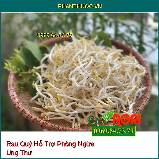 4 Loại Rau Quý Như Thuốc Hỗ Trợ Phòng Ngừa Ung Thư Và Rất Dễ Canh Tác