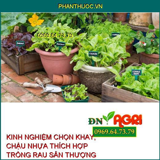 KINH NGHIỆM CHỌN KHAY, CHẬU NHỰA THÍCH HỢP TRỒNG RAU SÂN THƯỢNG