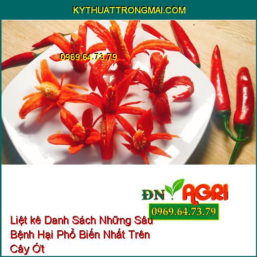 Liệt kê Danh Sách Những Sâu Bệnh Hại Phổ Biến Nhất Trên Cây Ớt