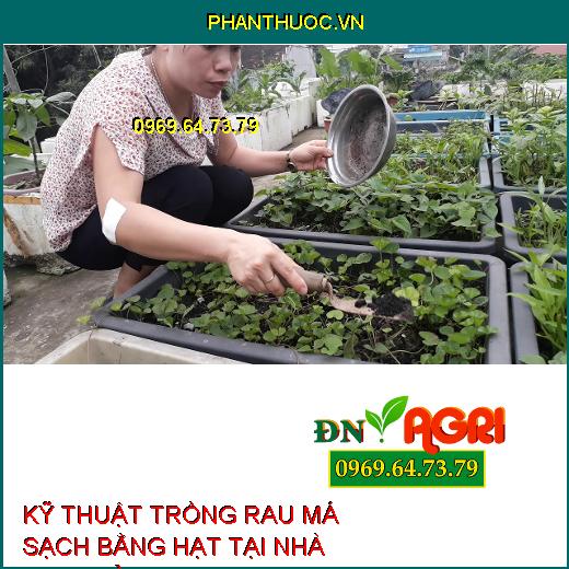 KỸ THUẬT TRỒNG RAU MÁ SẠCH BẰNG HẠT TẠI NHÀ ĐƠN GIẢN